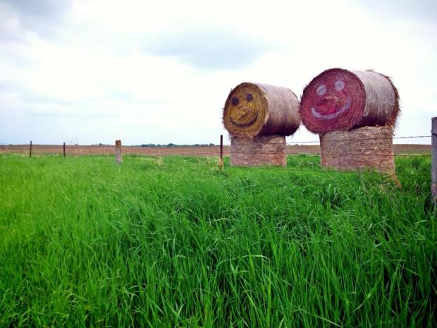 10325779_10101837515655860_4289720914792812655_n